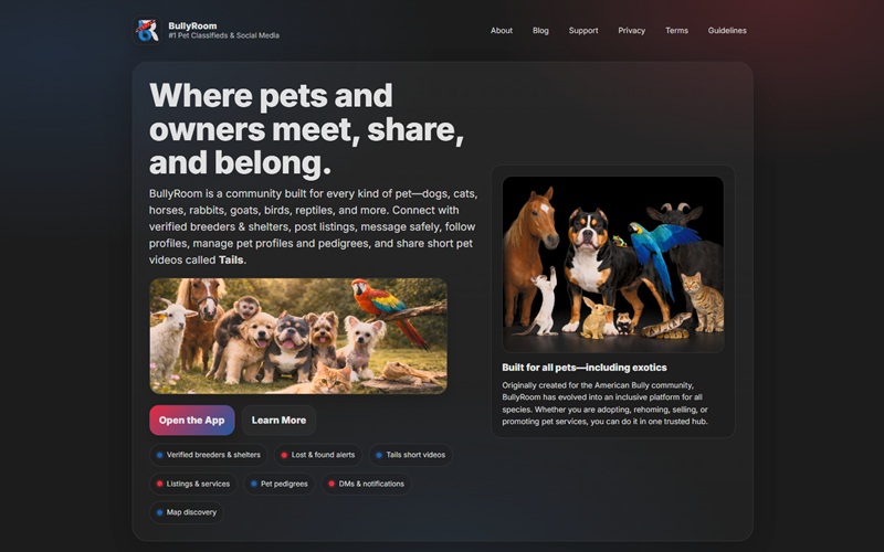 Bully Room — Pet Classifieds & Social Media portfolio thumbnail
